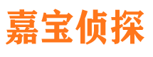 五河侦探公司